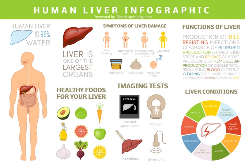 Liver Health Overview